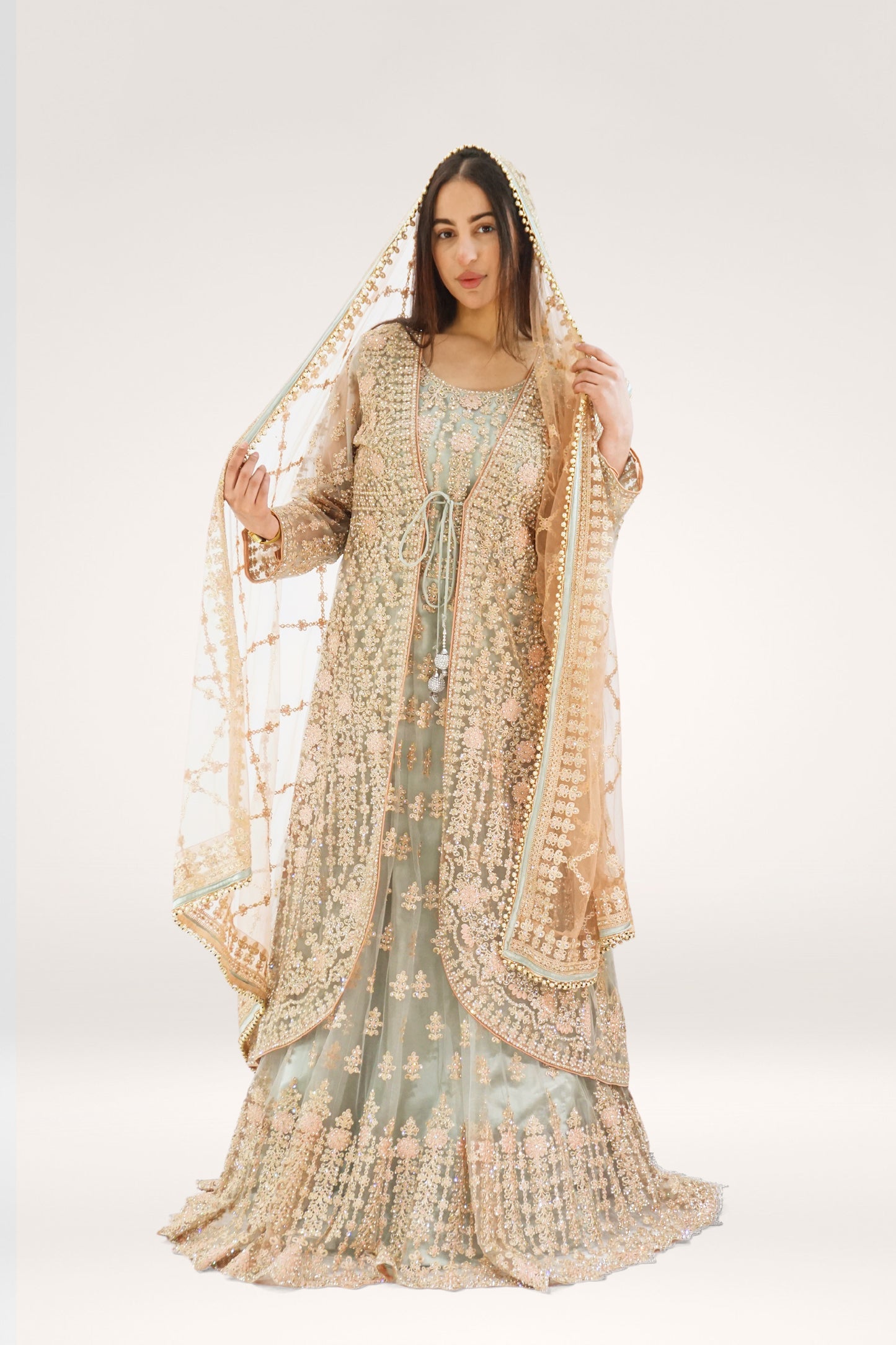 Elegant Sky Blue Soft Net Asian Long Suit with Stone Work