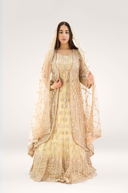 Elegant Golden Soft Net Asian Long Suit